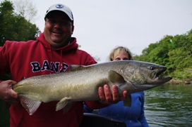 manistee salmon